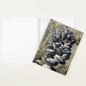 Sisters Rock State Park, Oregon Coast Planner (Display)