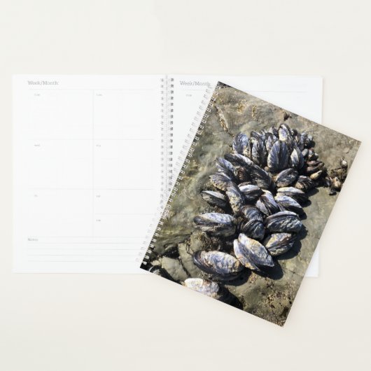 Sisters Rock State Park, Oregon Coast Planner (Display)