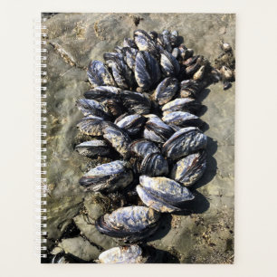Sisters Rock State Park, Oregon Coast Planner