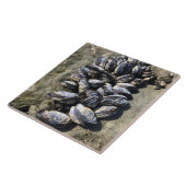 Sisters Rock State Park, Oregon Coast Tegeltje (Zijkant)