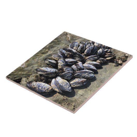 Sisters Rock State Park, Oregon Coast Tegeltje (Zijkant)