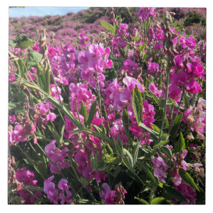 Sisters Rock State Park, Oregon Coast Tegeltje