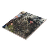 Sisters Rock State Park, Oregon Coast Tegeltje (Zijkant)