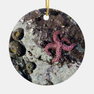 Sisters Rock State Park, Oregon-kust Keramisch Ornament