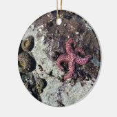Sisters Rock State Park, Oregon-kust Keramisch Ornament (Links)