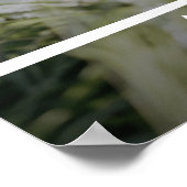 Sisters Script Moderne foto Poster (Hoek)