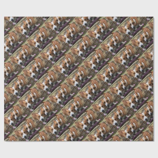 Sisters Stick Together Cadeaupapier (Vlak)