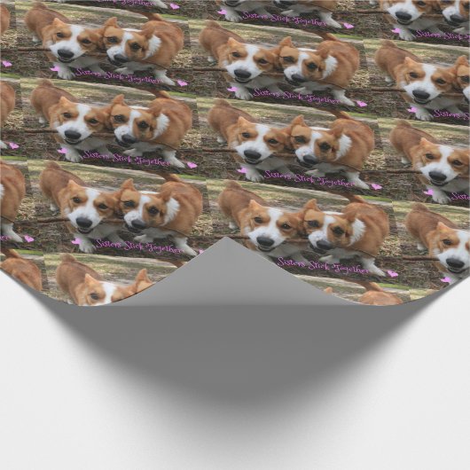 Sisters Stick Together Cadeaupapier (Hoek)