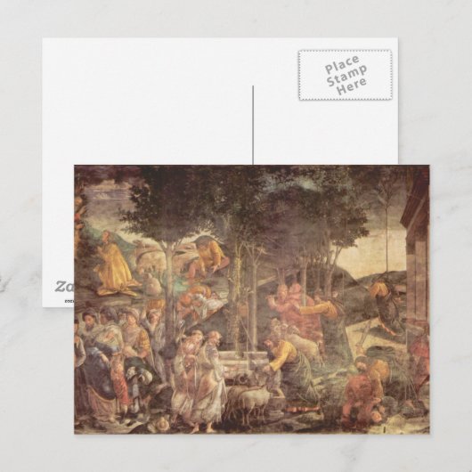 Sistine Chapel - De jeugd van Mozes Briefkaart (Voorkant / Achterkant)