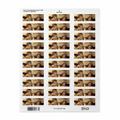 Sistine Madonna Angels door Raphael Sanzio Etiket (Full Sheet)