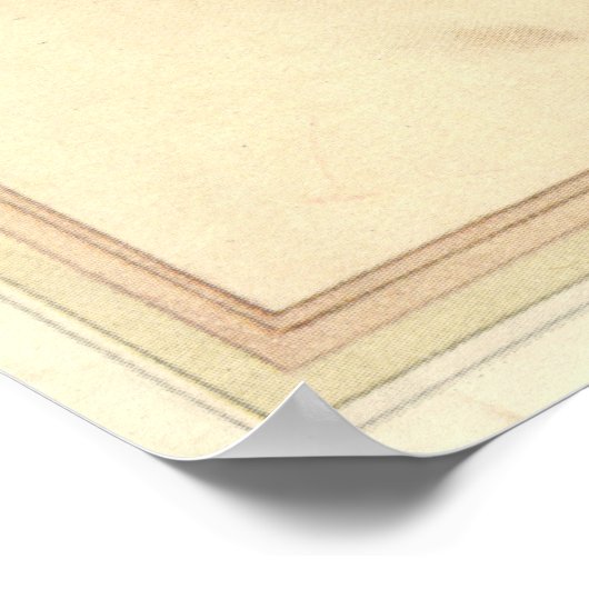 SISYPHUS - Insect Book Illustration Poster (Hoek)