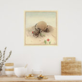SISYPHUS - Insect Book Illustration Poster (Keuken)