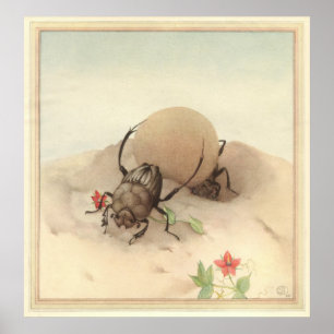 SISYPHUS - Insect Book Illustration Poster