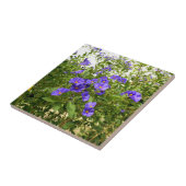 Sisyrinchium Angustifolium Keramische Tegel Tegeltje (Zijkant)