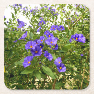 Sisyrinchium Angustifolium Paper Coaster Kartonnen Onderzetters