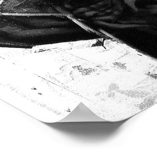 SIT "aap" Poster (Hoek)