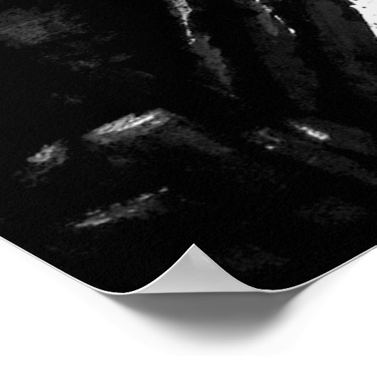 SIT "Turtle" Poster (Hoek)