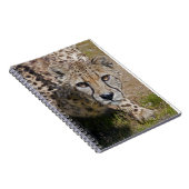 Sita Notitieboek (Rechterzijde)