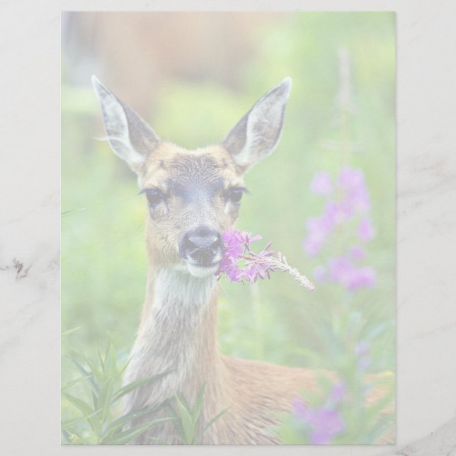 Sitka Black-tailed Deer met Fireweed (Voorkant)