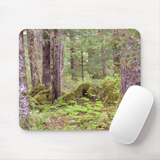 Sitka Forest Muismat (Met muis)