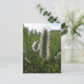 Sitka Great Burnet, Unalaska Island Briefkaart (Staand voorkant)