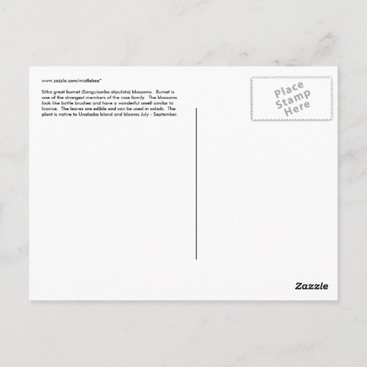 Sitka Great Burnet, Unalaska Island Briefkaart (Achterkant)