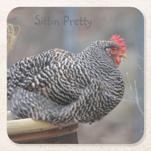 Sittin Chicken Party Onderzetter (Voorkant)
