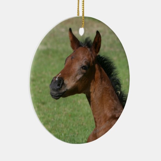 Sitting Arab Foal Keramisch Ornament (Rechts)