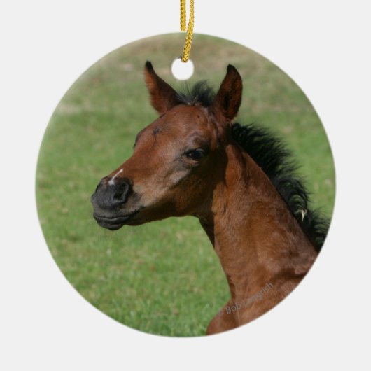 Sitting Arab Foal Keramisch Ornament (Voorkant)