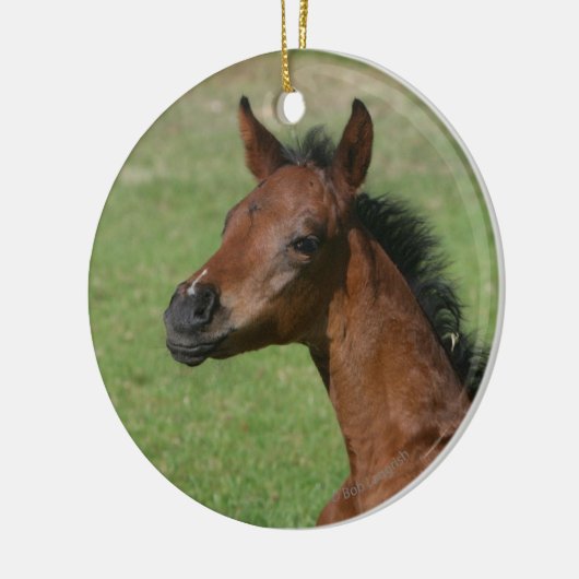 Sitting Arab Foal Keramisch Ornament (Links)