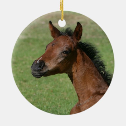 Sitting Arab Foal Keramisch Ornament (Achterkant)