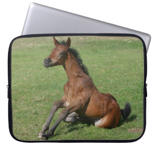 Sitting Arab Foal Laptop Sleeve