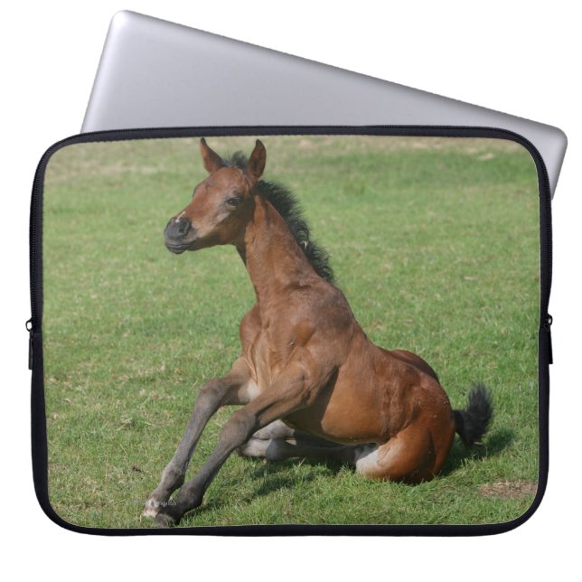 Sitting Arab Foal Laptop Sleeve (Voorkant)