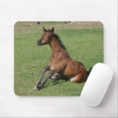 Sitting Arab Foal Muismat (Met muis)