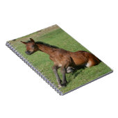 Sitting Arab Foal Notitieboek (Rechterzijde)