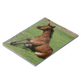 Sitting Arab Foal Notitieboek (Linkerzijde)