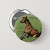 Sitting Arab Foal Ronde Button 5,7 Cm (Voorkant /achterkant)