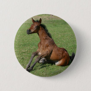 Sitting Arab Foal Ronde Button 5,7 Cm