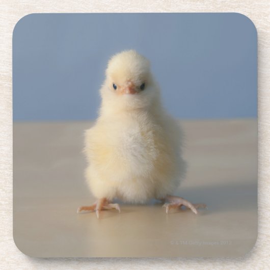 Sitting Baby Yellow Chicken, 3 dagen oud Drankjes Onderzetter (Voorkant)
