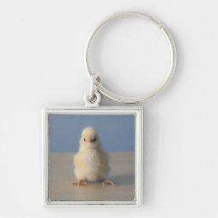 Sitting Baby Yellow Chicken, 3 dagen oud Sleutelhanger