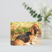 Sitting Basset Hound Briefkaart (Staand voorkant)