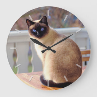 Sitting Blue Eyed Siamese Cat Thema Grote Klok