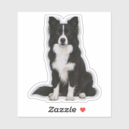 Sitting Border Collie Sticker