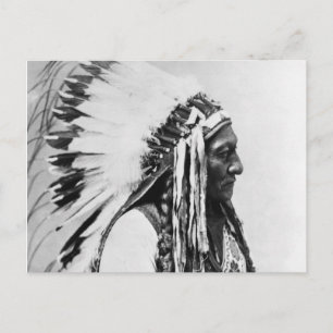 Sitting Bull, een Hunkpapa Sioux Briefkaart