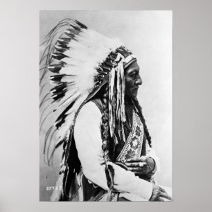 Sitting Bull, een Hunkpapa Sioux Poster