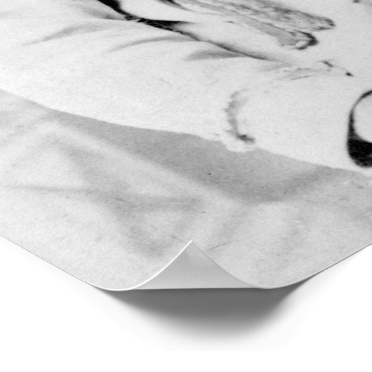 Sitting Bull Poster (Hoek)