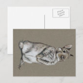 Sitting Bunny Rabbit Art Briefkaart (Voorkant / Achterkant)
