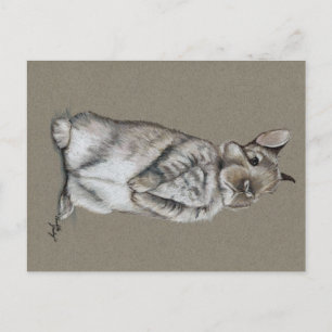 Sitting Bunny Rabbit Art Briefkaart