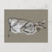 Sitting Bunny Rabbit Art Briefkaart (Voorkant)