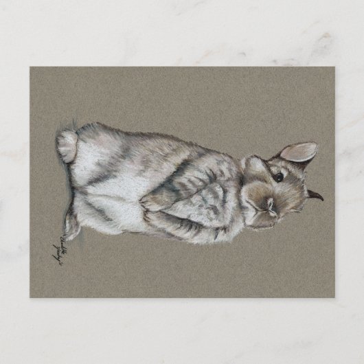 Sitting Bunny Rabbit Art Briefkaart (Voorkant)